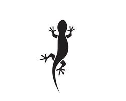 Lizard Chameleon Gecko Silhouette svart vektor