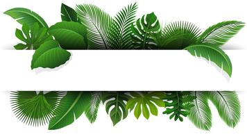 Unterzeichnen Sie mit Textraum von tropischen Blättern. Geeignet für Naturkonzept, Urlaub und Sommerurlaub. Vektor-Illustration vektor