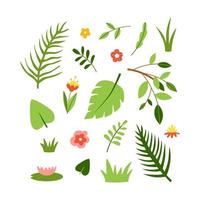satz von blumen und blättern von exotischen pflanzen und bäumen. tropische Flora-Vektorsammlung handgezeichnet im Cartoon-Stil und isoliert auf weißem Hintergrund vektor