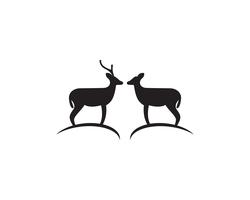 Hirsch Logo und Symbol Vektor