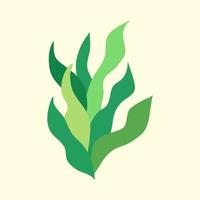 grön dekorativ växt vektor