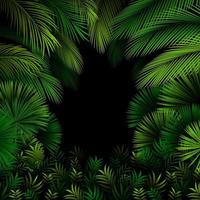 exotiska mönster med tropiska löv på mörk skog vektor