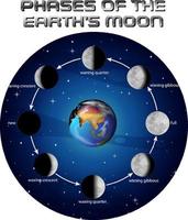 Mondphasen für den naturwissenschaftlichen Unterricht vektor