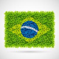 Brasilien Flagge Gras vektor