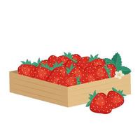låda med mogna röda jordgubbar. söt läcker mat och hälsosam efterrätt. naturlig produkt lämplig för vegetarianer. källa till vitaminer och allergier. platt vektor illustration