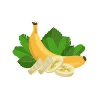 uppsättning söt gul hela och skära banan med blad. utsökt hälsosam exotisk frukt. vektor platt mat illustration