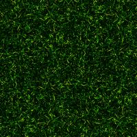 topp utsikt gräs bakgrund vektor