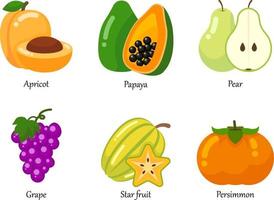 alla frukter vektor ikoner set. en uppsättning av färska friska frukter isolerade.
