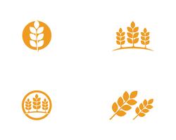 Landwirtschaftsweizen Logos vektor