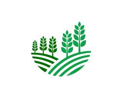 Einzigartiges grünes Vektorbild der Landwirtschaftsgeschäftslogoschablone vektor