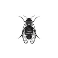 Cicada logotyp vektor ikon mall