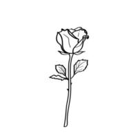 eine handgezeichnete Rose. Rosenblumen-Doodle-Illustration. vektorgestaltungselement für druck, dekoration, textilien, grußkartendesign. schwarzer Umriss isoliert auf weißem Hintergrund. vektor