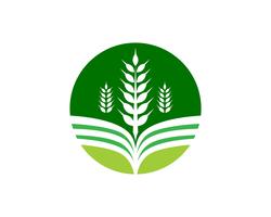 Einzigartiges grünes Vektorbild der Landwirtschaftsgeschäftslogoschablone vektor