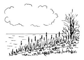 handritad enkel vektorskiss med svart kontur. landskap, natur, bevuxen strand av en vild sjö, vass, gräs, träd, vatten. moln med en tom plats för en inskription. viltjakt, fiske. vektor