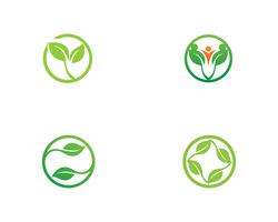 Logos des grünen Blattökologie-Naturelementvektors vektor