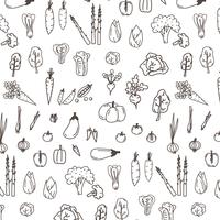 Set of Hand Drawn Vegetables Doodles. vektor