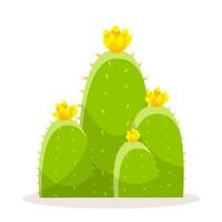 uppsättning kaktusar med taggar och blommor. mexikansk grön växtkaktus med taggar. del av öknen och södra landskapet. tecknad platt vektorillustration. isolerad på vit bakgrund. vektor