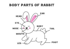 Körperteile des Kaninchens. Schema für Kinder. vektor