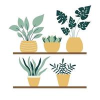 vektorillustration av inomhusväxter som står på en hylla. olika krukväxter finns på hyllan. isolerad på en vit bakgrund. vektor