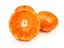 Orange, eine der glückverheißenden Früchte Chinas vektor