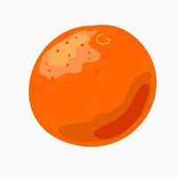 Reife Orangenfrucht Orange isoliert auf weißem Hintergrund. vektor