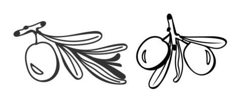 oliver är en svartvit handritad teckning i klotterstil. för användning på textilier, förpackningspapper, souvenirer, tryck, affischer, vykort. vektor