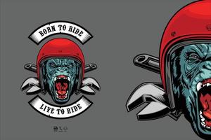 gorilas biker illustration med en grå bakgrund.eps vektor