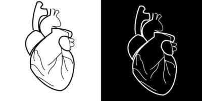 kontur vektorritning av ett mänskligt hjärta. illustration med enkla linjer i två versioner - svart och vitt vektor