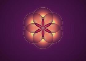 Saat des Lebens Symbol heilige Geometrie. goldenes Logo-Symbol geometrisches mystisches Mandala der Alchemie esoterische rote Blume des Lebens. verschachtelte Kreise, vektorgöttliches meditatives Amulett isoliert auf violettem Hintergrund vektor