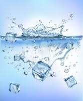 Das Frischgemüse, das Eis in blaues klares Wasserspritzen spritzt, lokalisierte gesundes Lebensmitteldiät-Frischekonzept weißen Hintergrund. Realistische Vektor-Illustration. vektor