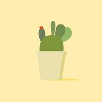 kaktus, ökenväxt platt ikon, vektor tecken, kaktus färgglada piktogram. symbol, logotyp illustration. platt stil design
