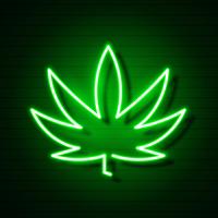 Medicinsk Cannabis Logo Leaf Glödande Neon Sign. vektor