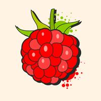 Raspberry Sketch Vector redo för din design, hälsningskort