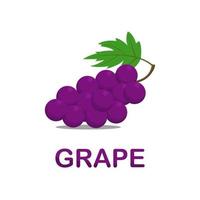 grape frukt vektor med vit bakgrund