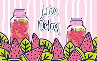 Fruktjuice detox vektor