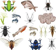 verschiedene Arten von Insekten und Tieren auf weißem Hintergrund