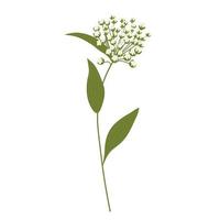 wilde Blumenvektorvorratillustration. Frühlingswiesenpflanze. grüner Stamm im Feld. isoliert auf weißem Hintergrund. vektor