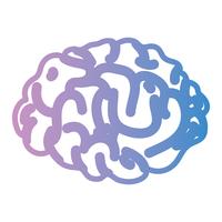 Linie menschlichen Gehirns Anatomie kreativ und Intellekt vektor