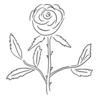 bunte Fantasy-Doodle-Cartoon-Rosenblume isoliert auf weißem Hintergrund. vektor