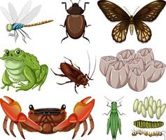 olika typer av insekter och djur på vit bakgrund vektor