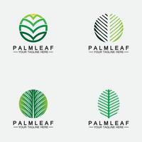 ange tropiska palmblad logotyp vektor formgivningsmall