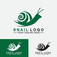 Schnecke Logo Vorlage Vektor Icon Illustration Design