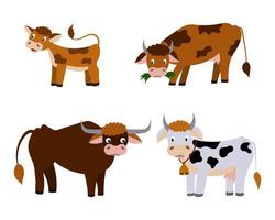 eine Reihe süßer Cartoon-Kühe und ein Kalb. vektor
