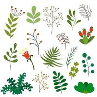 eine Reihe von Blättern, Grün, Blättern, Zweigen, Zweigen. Sammlung mit Pflanzen für die Einladung. botanische dekorative Illustration des Vektors lokalisiert auf einem weißen Hintergrund vektor