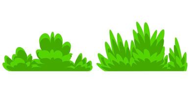 grön buske isolerad på vit bakgrund vektor