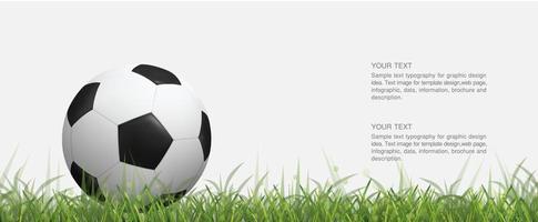 Fußball-Fußball auf grünem Grasfeld und leicht verschwommenem Bokeh-Hintergrund. Vektor. vektor