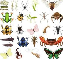 verschiedene Arten von Insekten und Tieren auf weißem Hintergrund