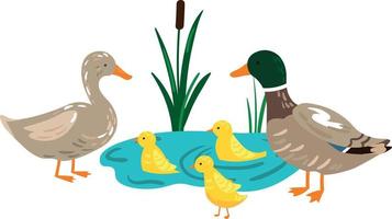 Illustration der Entenfamilie mit Küken im Teich