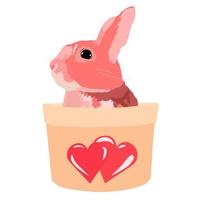 Hasenvektorvorratillustration. süßes kleines kaninchen, das in einer geschenkbox sitzt. Grußkarte zum Valentinstag mit Herzen. Ostern. Valentinstag für Kinder. isoliert auf weißem Hintergrund. Clip Art vektor