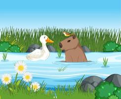 Capybara lebt im Naturteich vektor
